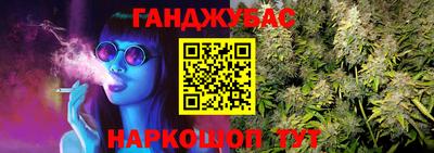 гашик Гай