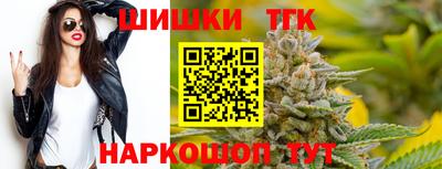 СК Гатчина