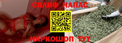 гашик Гай