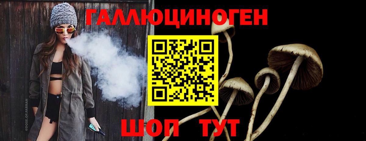 Галлюциногенные грибы Psilocybe  Вход с VPN  Псилоцибиновые грибы ЛСД  Москва 